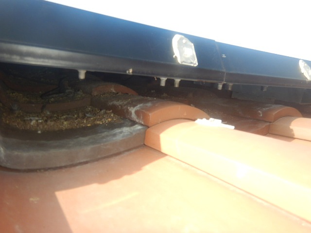 太陽光パネル下　掃除